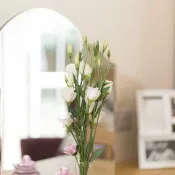 Angela Grace Northampton Care home 22
